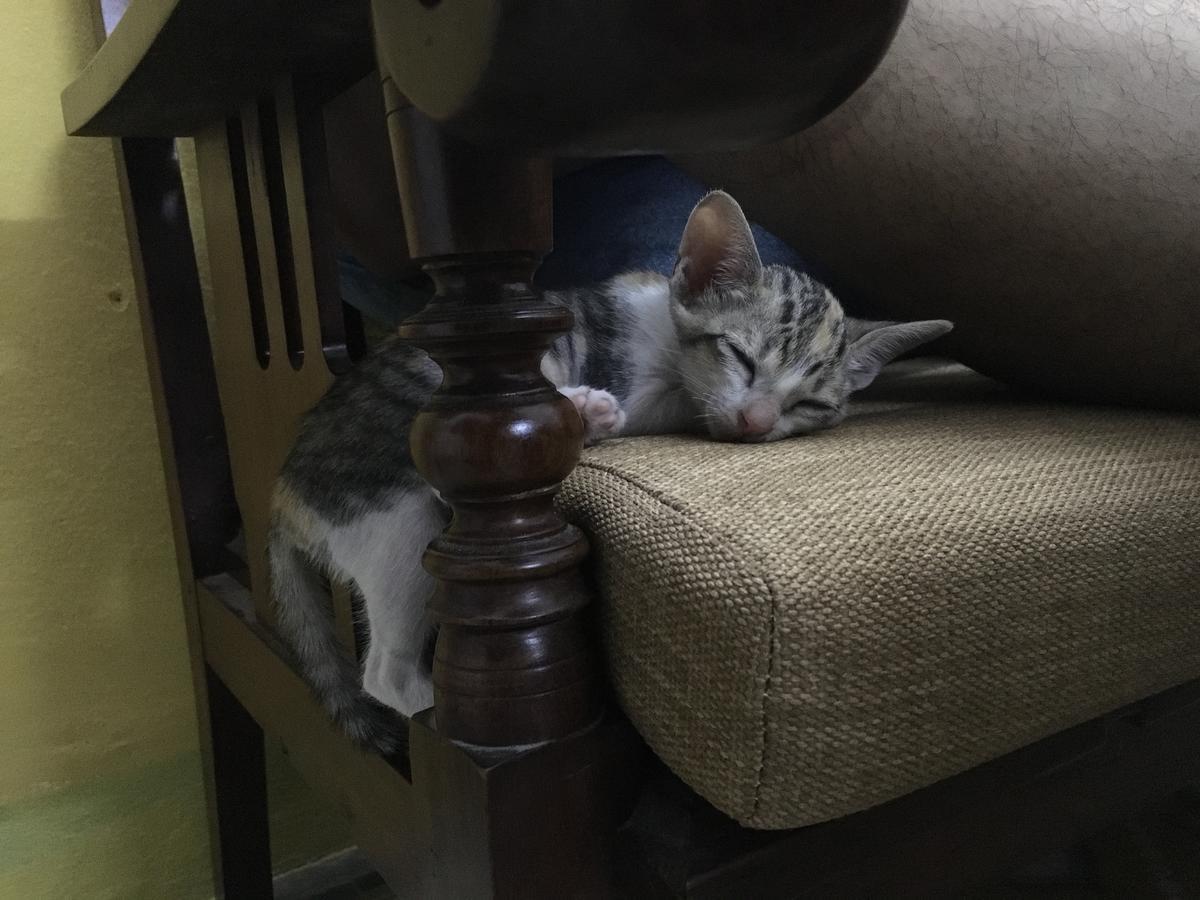 Nha Homestay Da Nang Esterno foto