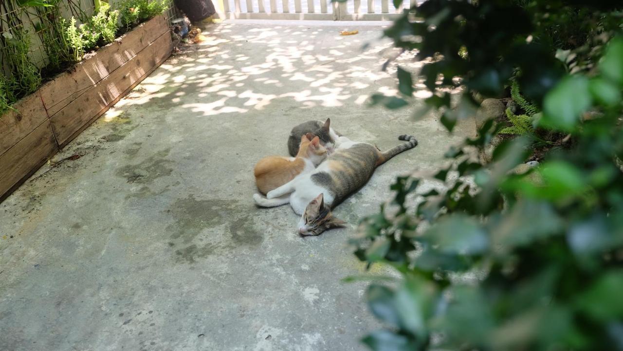 Nha Homestay Da Nang Esterno foto