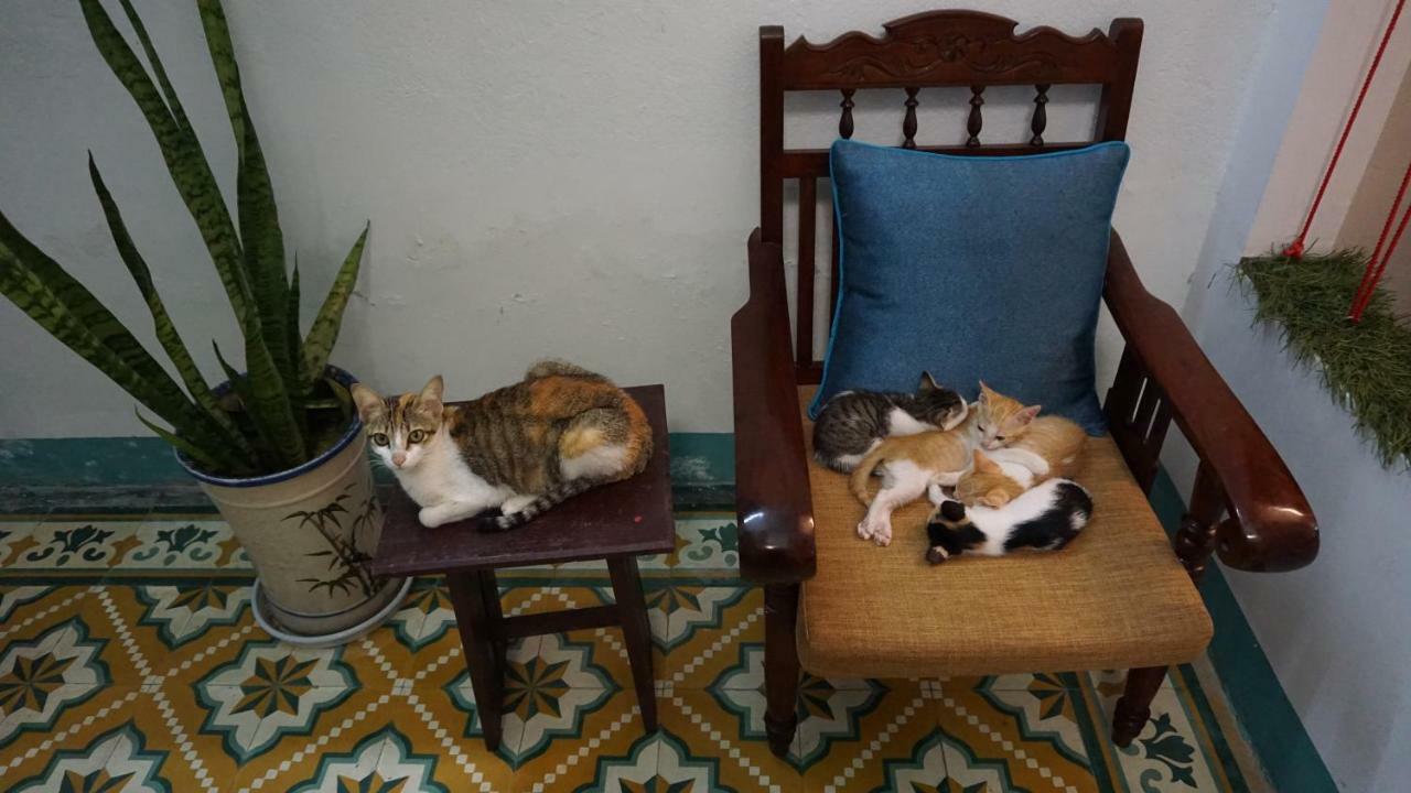 Nha Homestay Da Nang Esterno foto
