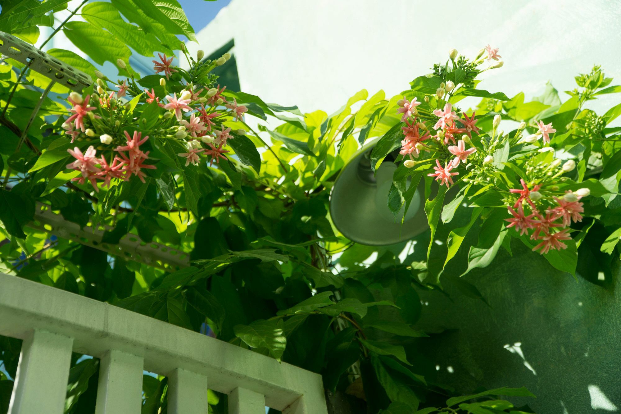 Nha Homestay Da Nang Esterno foto
