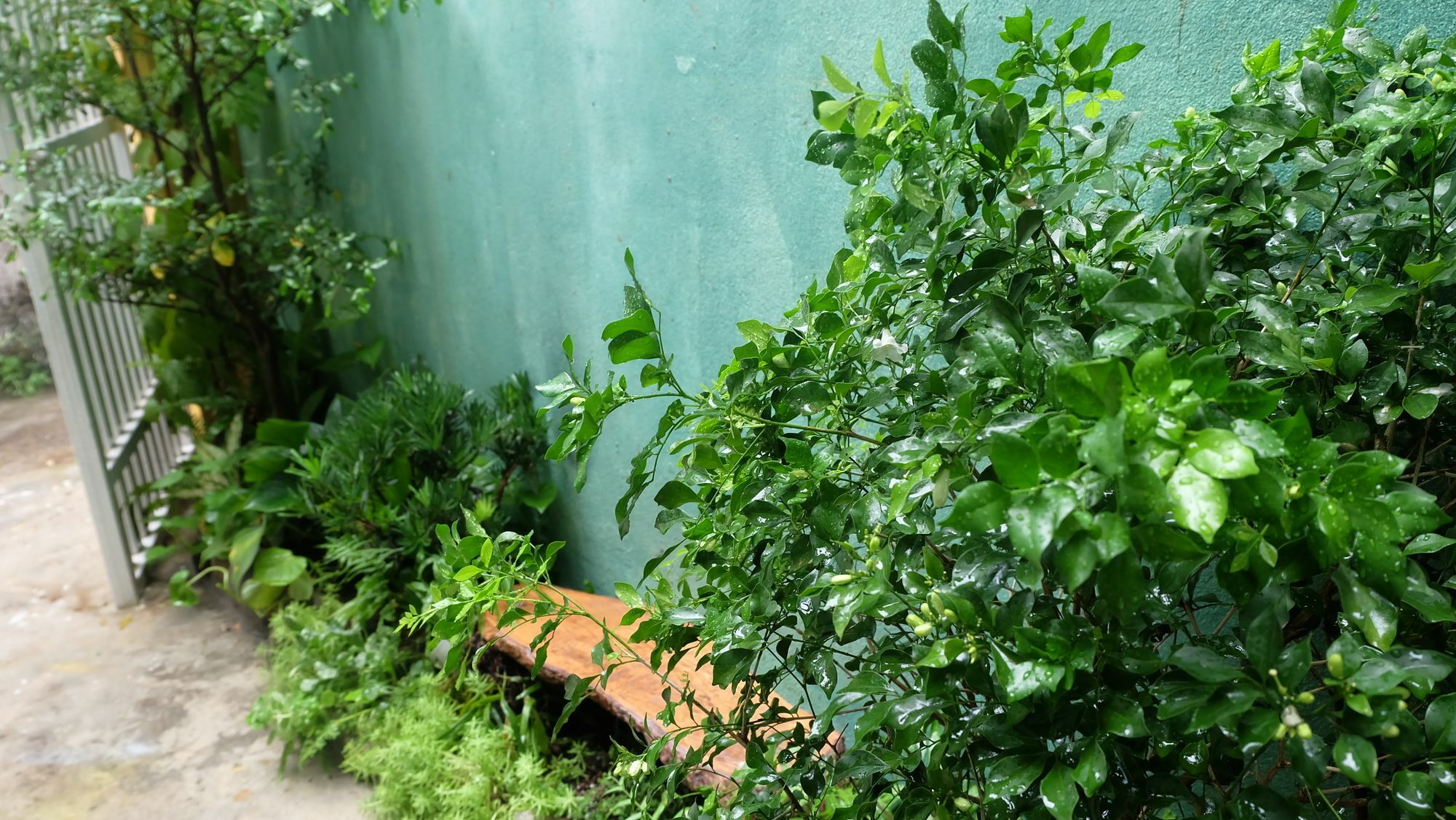 Nha Homestay Da Nang Esterno foto